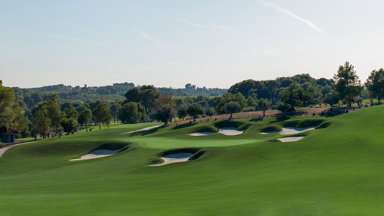 86d67aa3-9bd8-4dad-9731-ef1ba1f98364