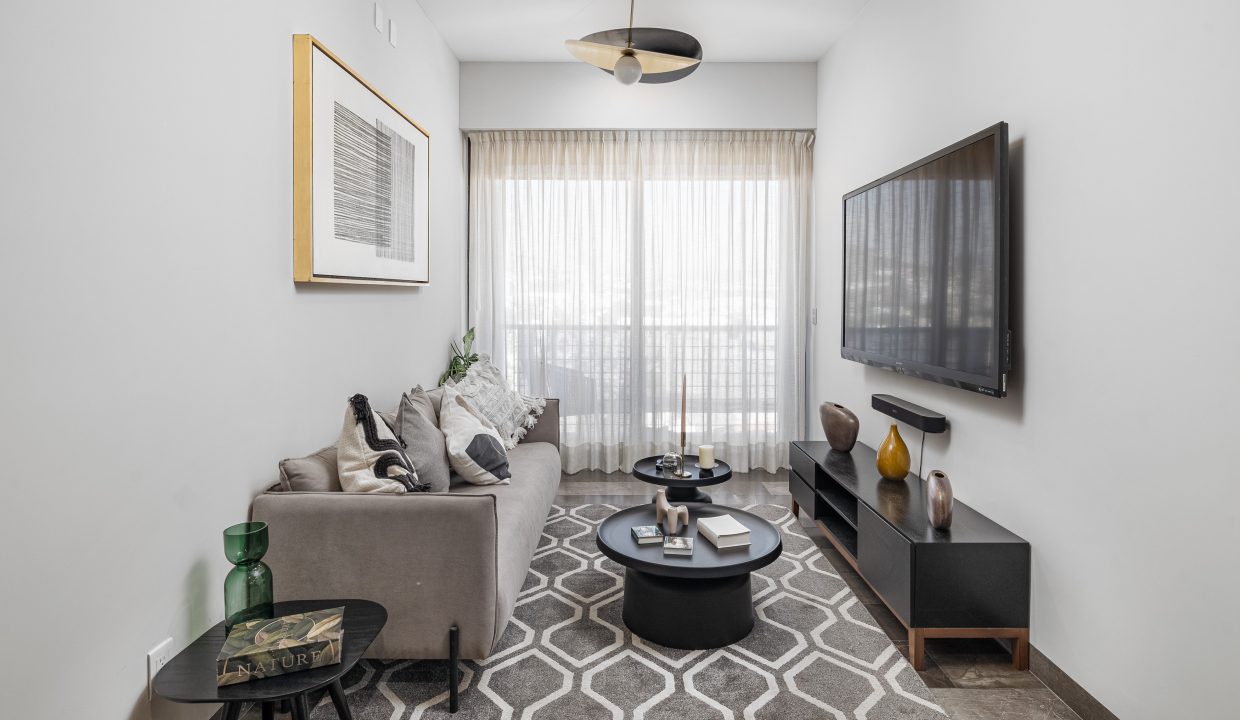 Copy of Basania-enero-11