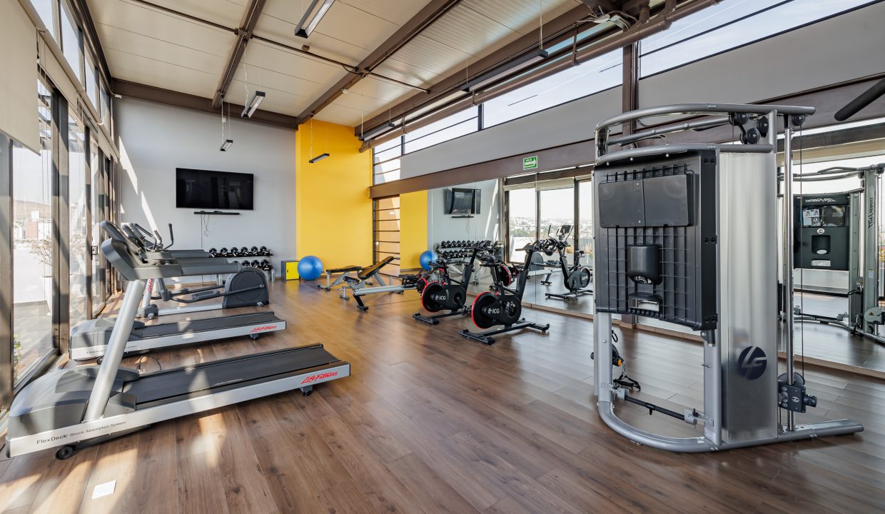 Copy of Basania-enero-16